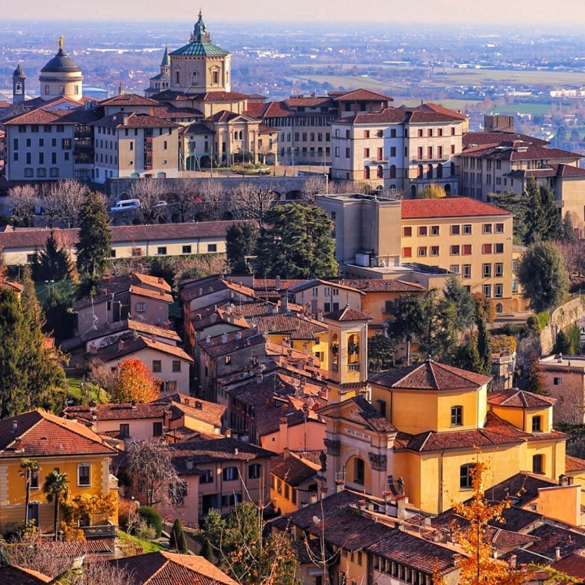 Bergamo - Milan - Linate Transfer
